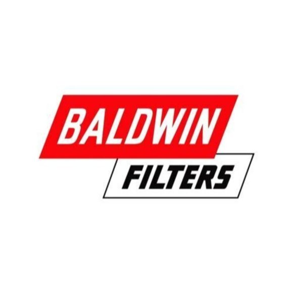 BALDWIN FILTERS PA4167 Air Filter for Equipment, 2005-2006 Expedition, etc.. NEW - Picture 2 of 9